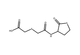 Erdosteine structure